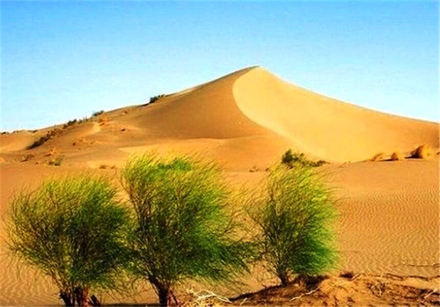 Iranian female scientist selected UNCCD member