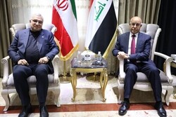 Iran, Iraq discuss expanding health co-op