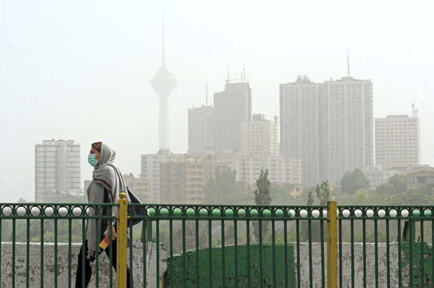Citizens of metropolises dream of clean air