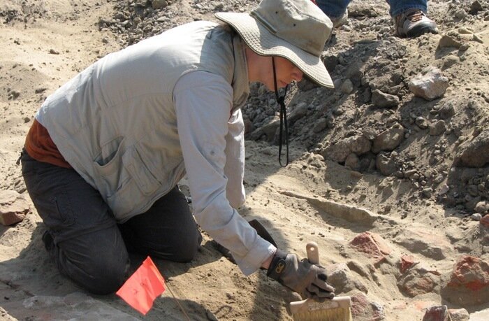 200 ancient human skeletons under study at anthropology laboratory