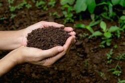 Ove 670 national standards set for soil protection 