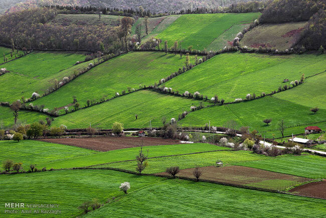 Mazandaran