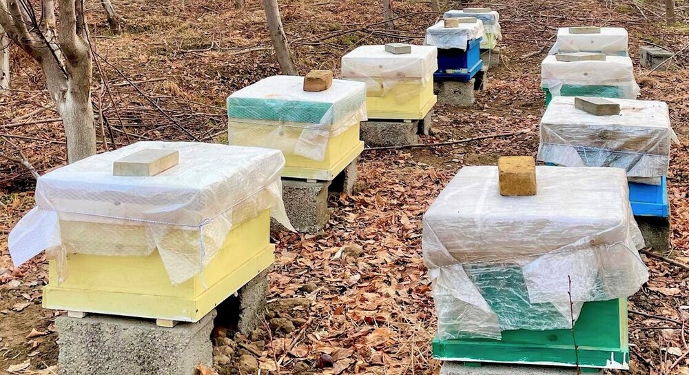 Beekeeping