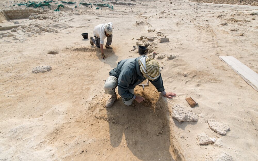 Excavators arrested