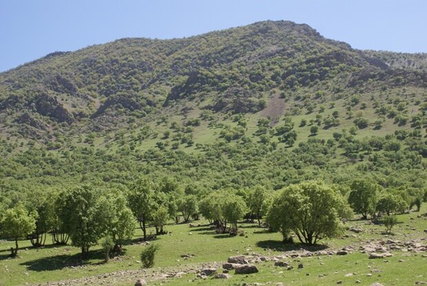 Budget bill allocates $85m for natural resources