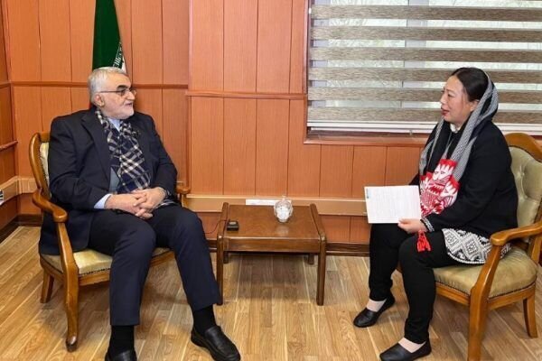 Boroujerdi talking to Chinese reporter