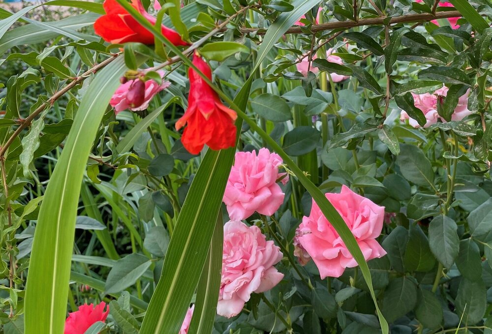 Flower export