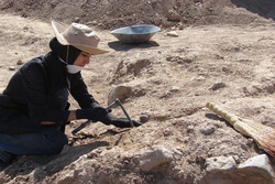 Annual Symposium on the Iranian Archaeology