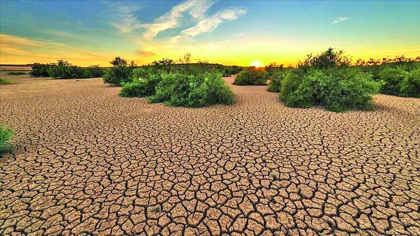 Precipitations decline by 24% year on year