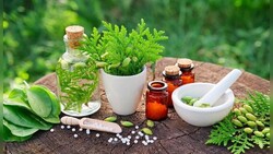 Medicinal herbs industry needs long-term planning: VP