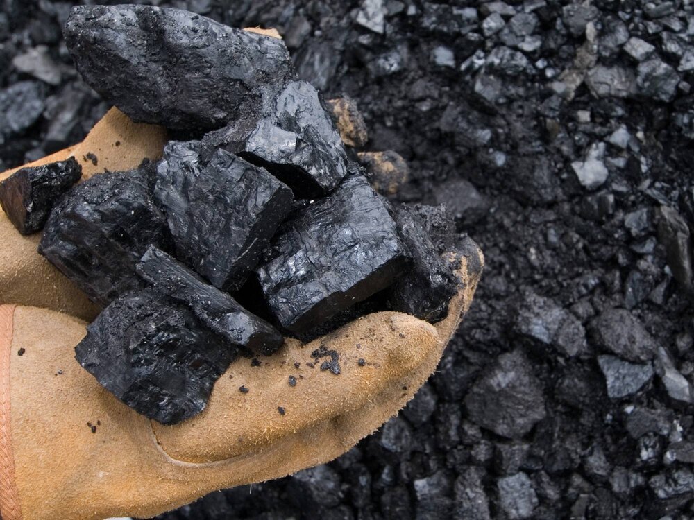 coal concentrate