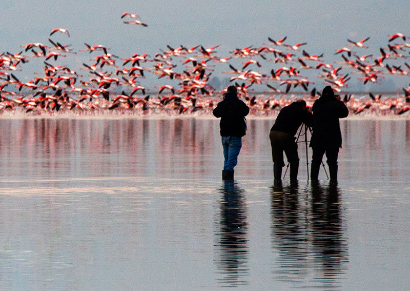 Ashuradeh; a heavenly realm for birdwatchers