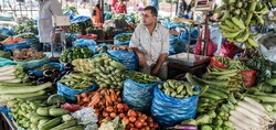 Threat of urban food insecurity growing in Asia-Pacific: UN agencies