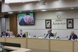 Tehran, Yerevan to form joint working group on health