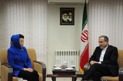 Japanese peace activist meets Iranian diplomat