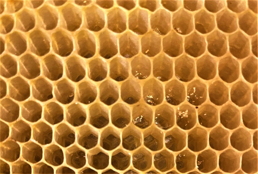 honey production