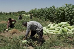 agritourism farm