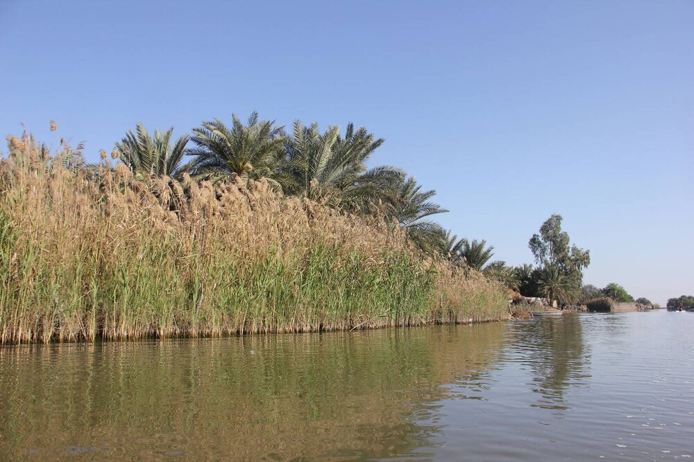 Environmental diplomacy to help secure water rights