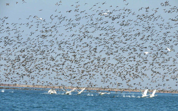 Beautiful Iran: Ashuradeh Island