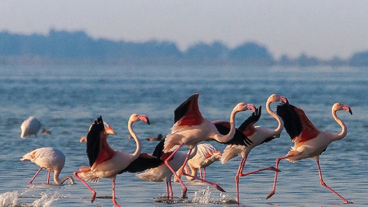 Beautiful Iran: Ashuradeh Island