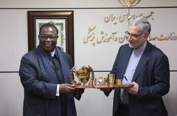 Zimbabwe eager to use Iranian expertise in medical sector