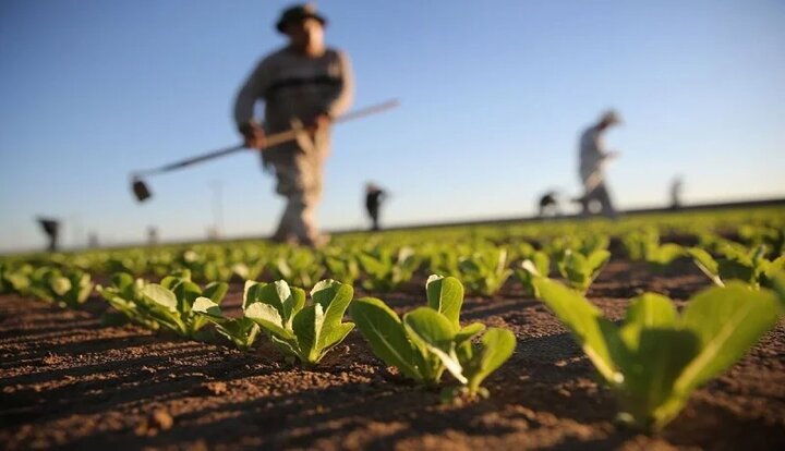 agriculture
