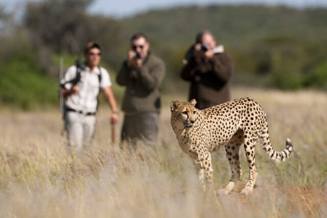 Yazd tourism hosts wildlife event