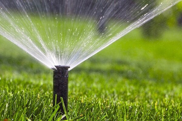 irrigation