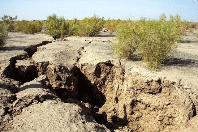 Knowledge-based companies helping country overcome water shortage