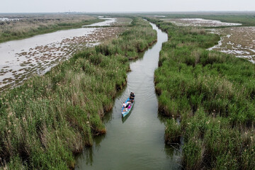 The unique ecology of Shadegan wetland