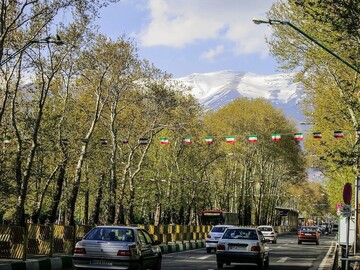 Special line of credit allocated for planting trees