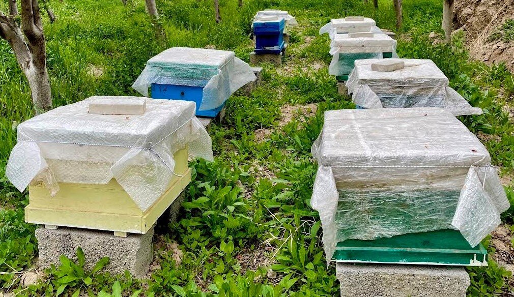 Honey export