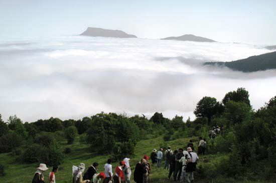 Jangal-e Abr: getting lost in magic of a foggy forest