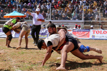 Iran’s wrestling