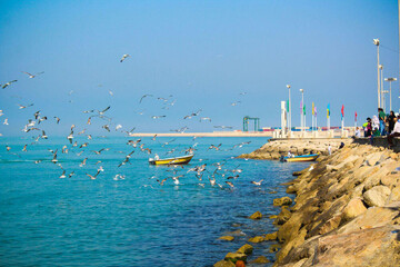 Persian Gulf ecosystem at risk