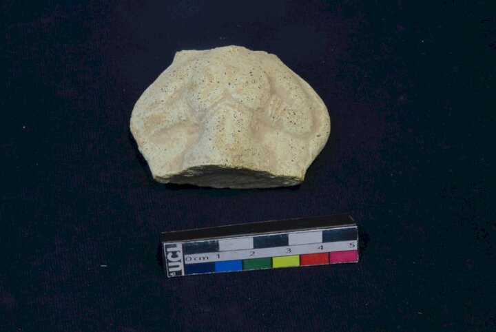 Elamite figurines unearthed in farming land near Susa