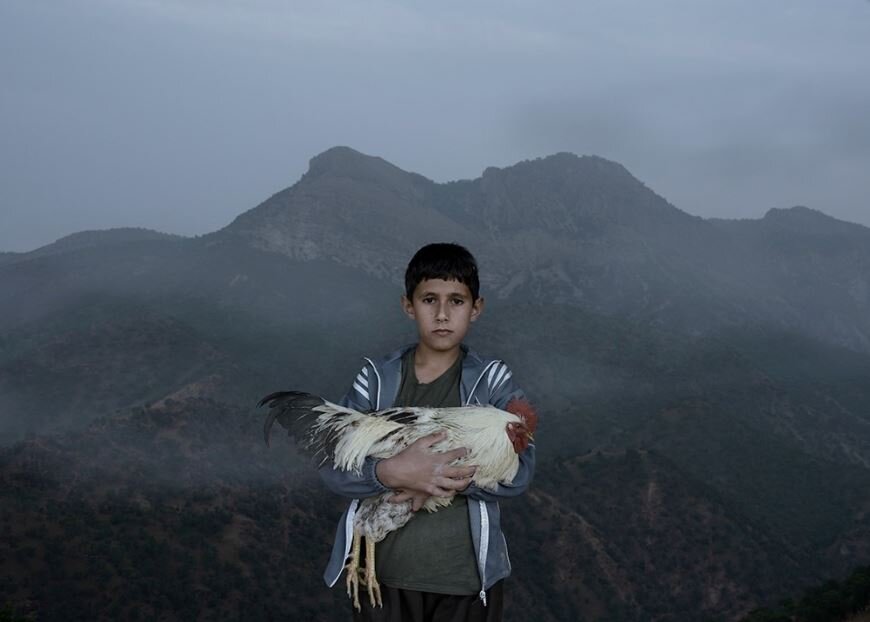 A scene from “The Birds Beyond the Lake” by Vahid Rad.