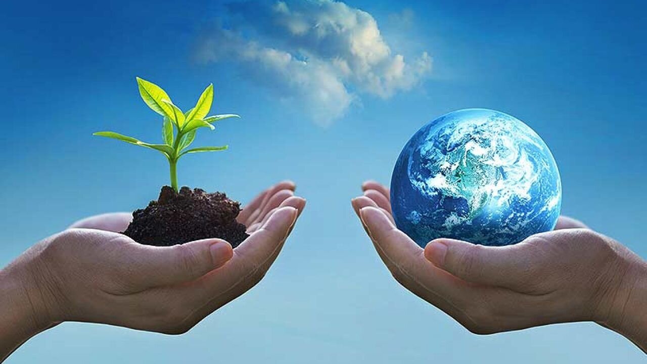 From agreement to action: build back biodiversity