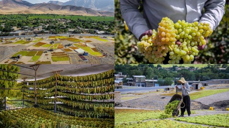 FAO awards GIAHS certificates to two Iranian sites