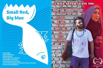 A combination photo shows posters for the Iranian movies “The Small Red, Big Blue” and “I Will Never Leave You”.