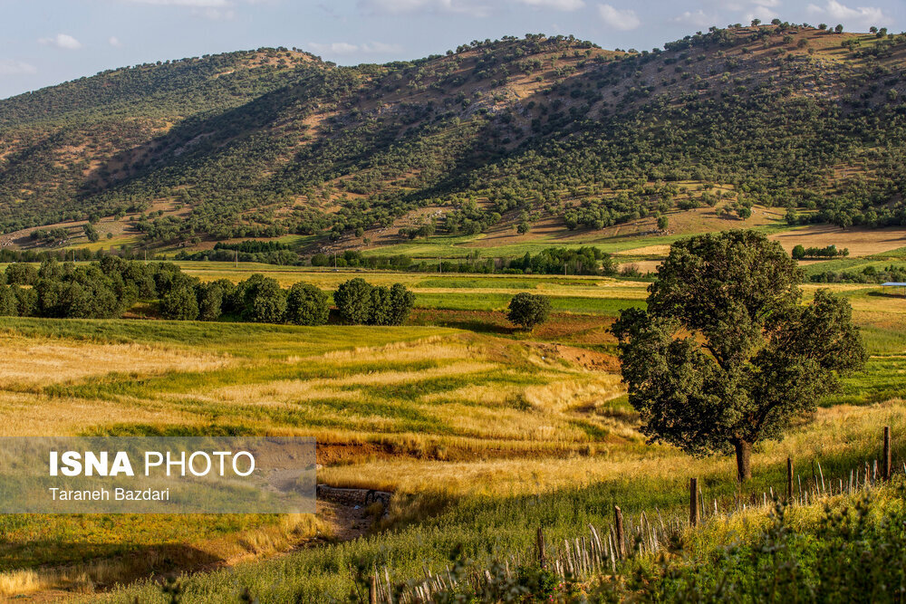 Nature tourism, an opportunity to explore Lorestan’s rich biodiversity