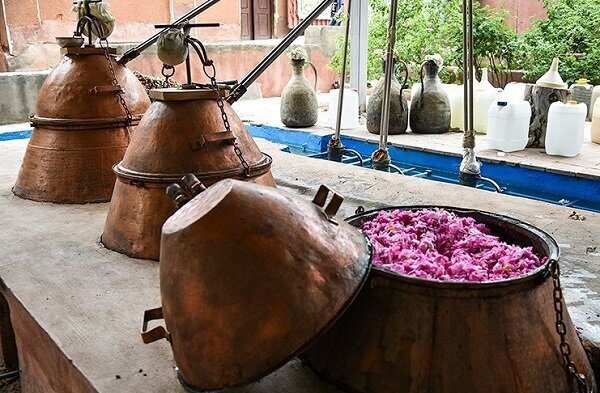 Iran rosewater festival valuable enough to be on UNESCO list