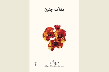 Front cover of the Persian edition of George E. Atwood’s book “The Abyss of Madness”.
