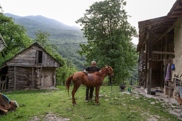 Simple life in Hyrcanian forest