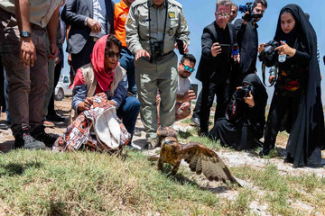 UNDP director releases rehabilitated bird