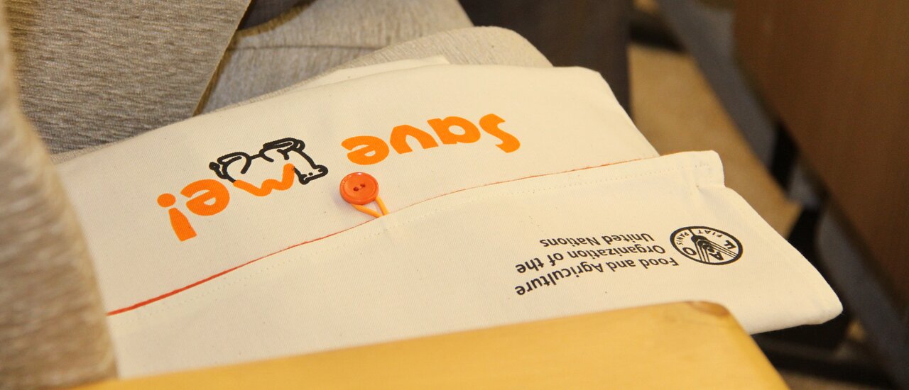 FAO highlights camels’ roles in fight against climate change