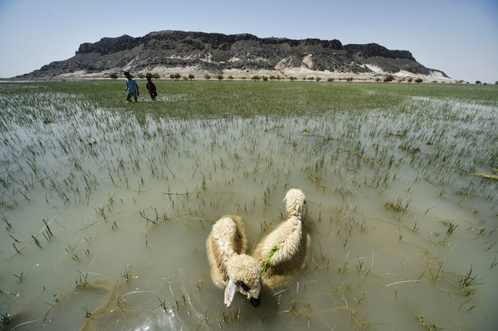 UNDP-Japan project saves 27% of water for irrigation