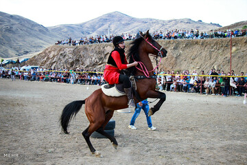 Kurd horses compete in a beauty pageant in Kermanshah