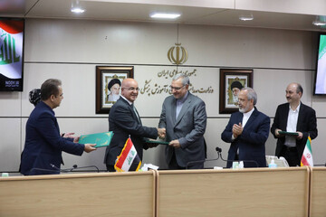 Tehran, Baghdad promoting health diplomacy   