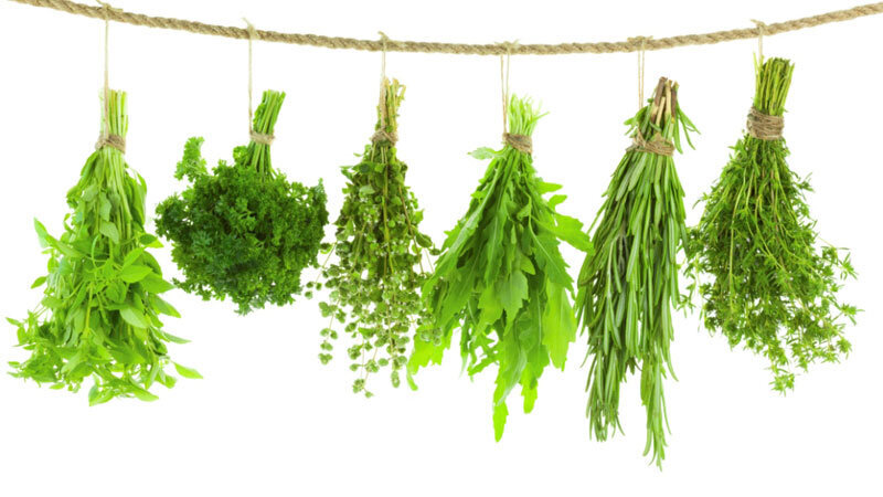 Amazing properties of Iranian endemic medicinal plants